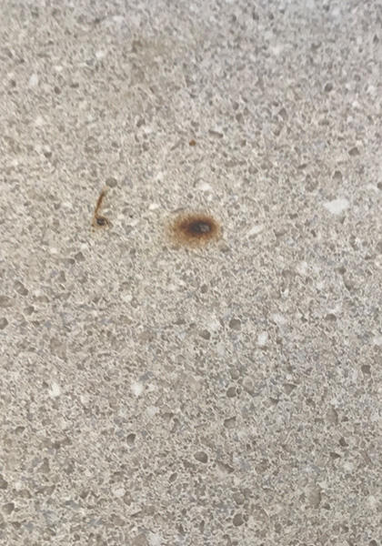 Burn mark before